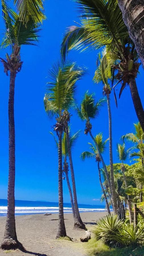 The Backyard Beachfront Hotel جاكو المظهر الخارجي الصورة